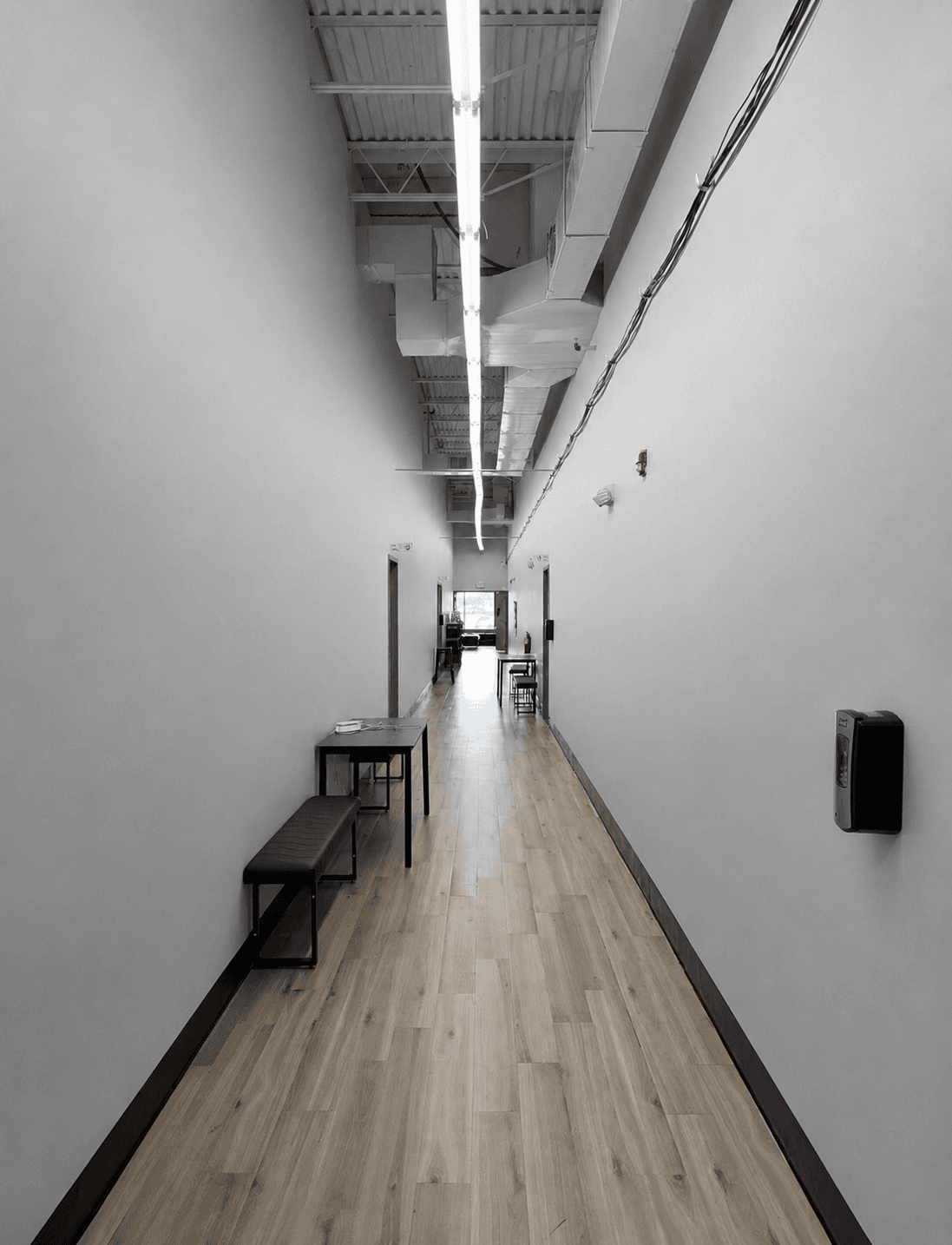 The Dance Collective — photo 10